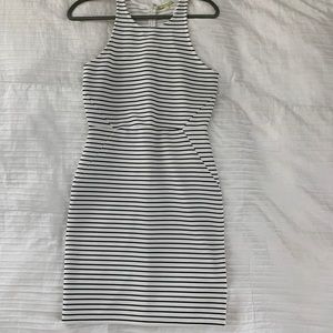 Black and white strip Gianni Bini dress